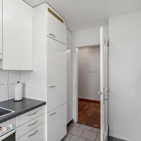 Duebendorfstrasse 171 Apartamento Zurique